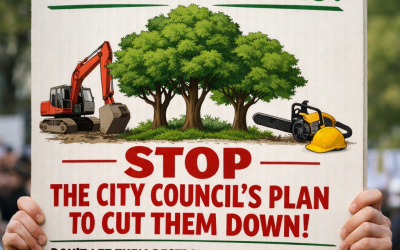 Message from Councilor Turgeson